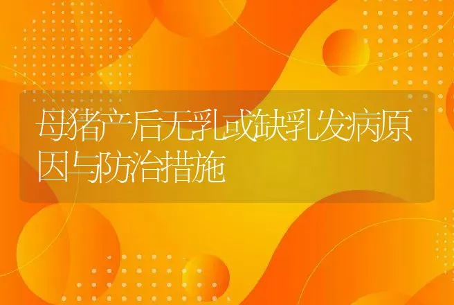 规模养藏獒圈舍的建筑及环境 | 动物养殖