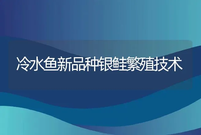 冷水鱼新品种银鲑繁殖技术 | 动物养殖