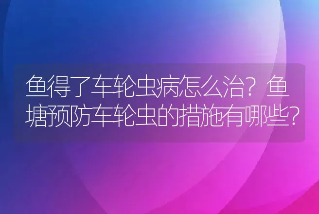 鱼得了车轮虫病怎么治？鱼塘预防车轮虫的措施有哪些？ | 兽医知识大全