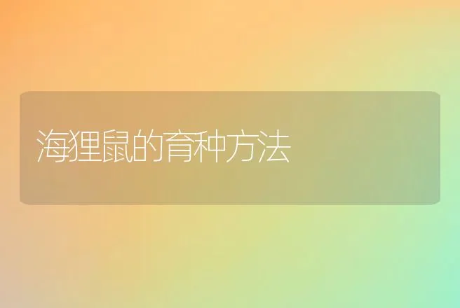 海狸鼠的育种方法 | 特种养殖