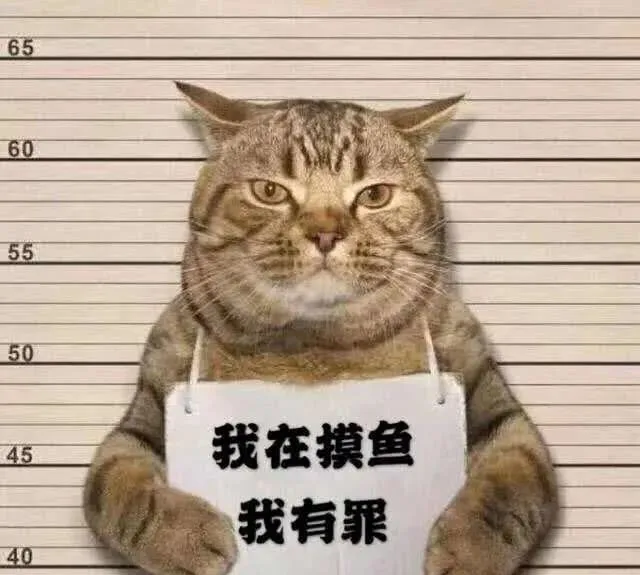 猫咪深夜外出被捕后拍照成网红！这么做，竟能让猫多活10年 | 宠物训练技巧