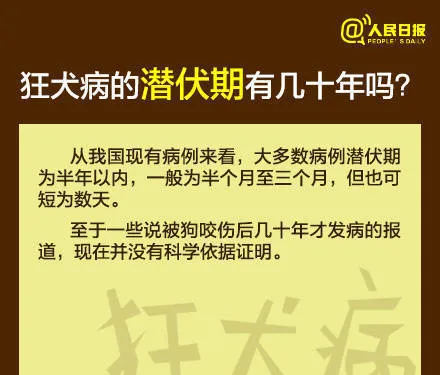 芜湖6岁男童被狗咬身亡获赔78万，母亲泣不成声：管好自家的狗 | 宠物新闻资讯