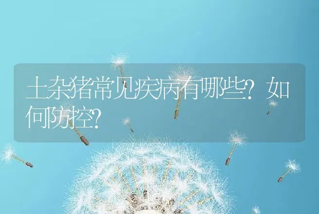 土杂猪常见疾病有哪些？如何防控？ | 兽医知识大全