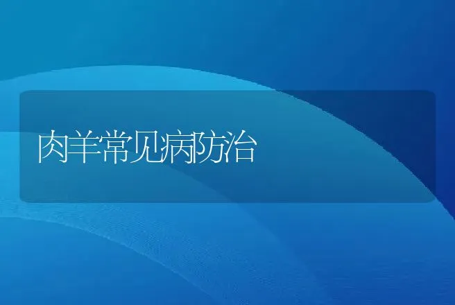 肉羊常见病防治 | 动物养殖