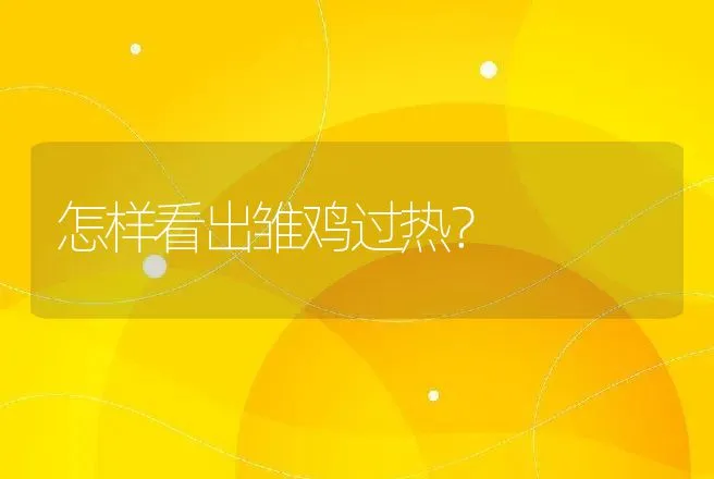 怎样看出雏鸡过热？ | 兽医知识大全