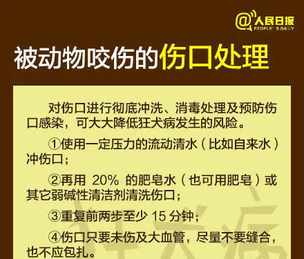 芜湖6岁男童被狗咬身亡获赔78万，母亲泣不成声：管好自家的狗 | 宠物新闻资讯