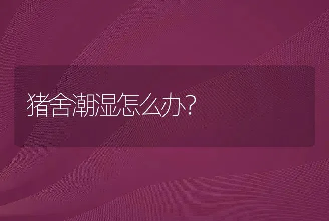 猪舍潮湿怎么办？ | 家畜养殖