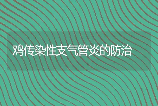 鸡传染性支气管炎的防治 | 兽医知识大全