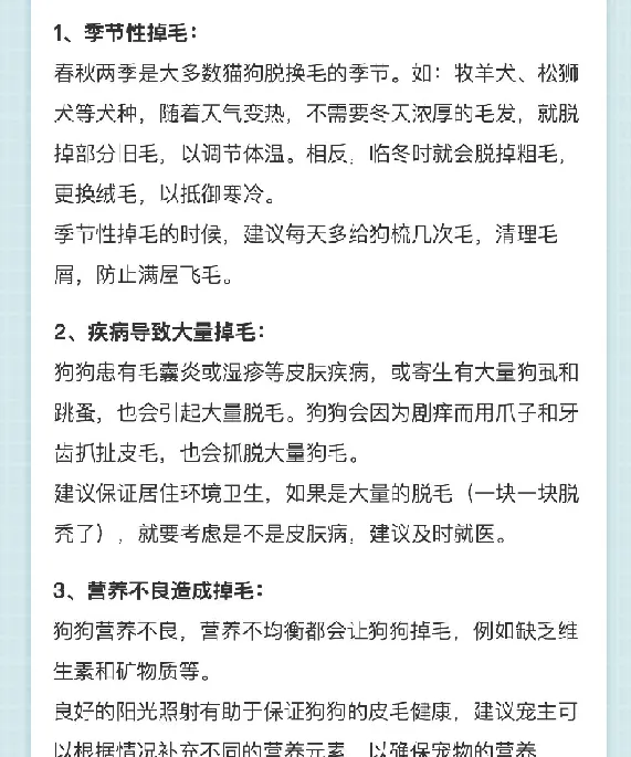 狗狗掉毛的六大原因与建议 | 宠物狗饲养