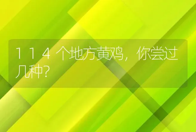 114个地方黄鸡，你尝过几种？ | 动物养殖