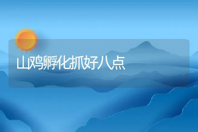 山鸡孵化抓好八点 | 特种养殖