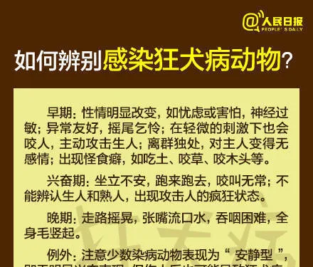 芜湖6岁男童被狗咬身亡获赔78万，母亲泣不成声：管好自家的狗 | 宠物新闻资讯