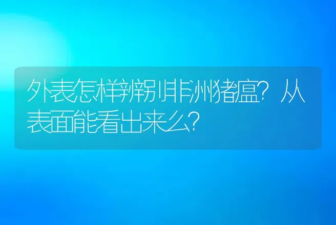 外表怎样辨别非洲猪瘟？从表面能看出来么？ | 兽医知识大全