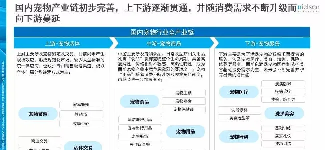 京东发布的这份报告 透露了宠物消费的哪些趋势？ | 宠物行业洞察