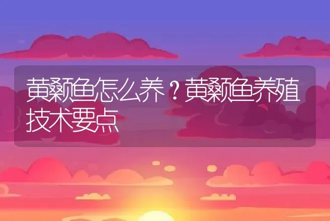 黄颡鱼怎么养？黄颡鱼养殖技术要点 | 水产知识