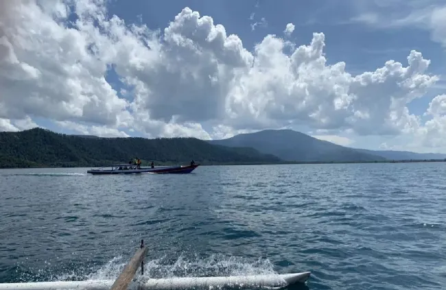 印尼苏拉威西岛寻鱼记 | 苏拉威西之“毒” | 水族宠物图片