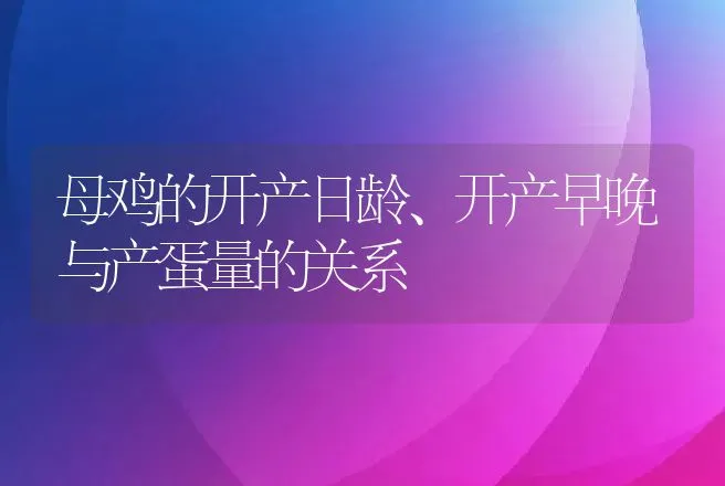 母鸡的开产日龄、开产早晚与产蛋量的关系 | 动物养殖