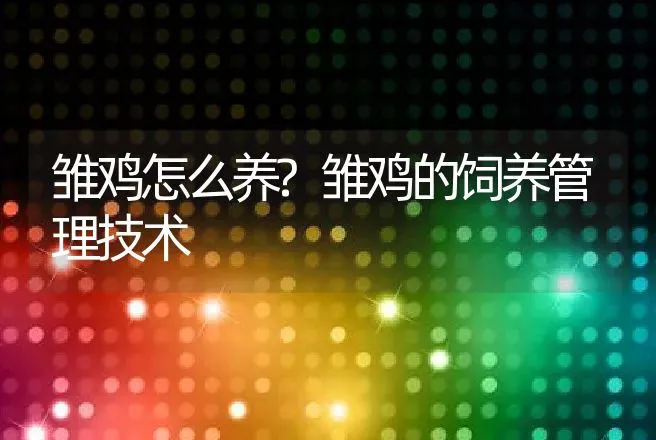 雏鸡怎么养?雏鸡的饲养管理技术 | 家禽养殖