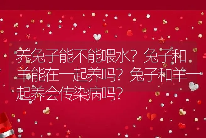 养兔子能不能喂水？兔子和羊能在一起养吗？兔子和羊一起养会传染病吗？ | 特种养殖