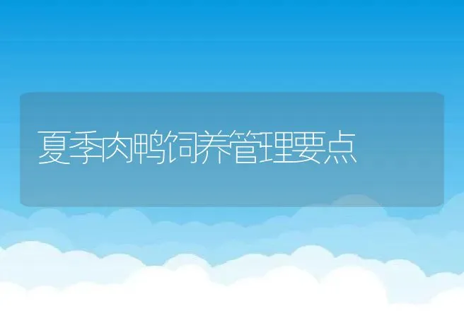夏季肉鸭饲养管理要点 | 家禽养殖