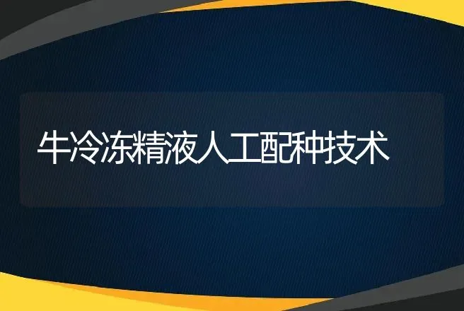 牛冷冻精液人工配种技术 | 动物养殖