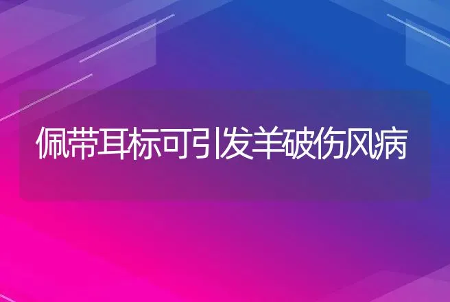 佩带耳标可引发羊破伤风病 | 动物养殖