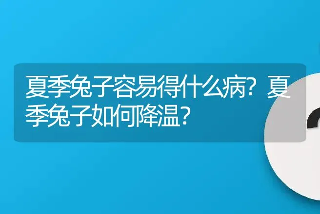 夏季兔子容易得什么病？夏季兔子如何降温？ | 特种养殖