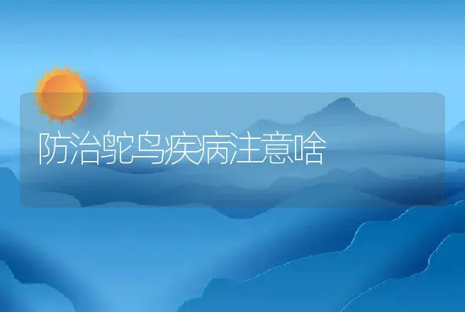 防治鸵鸟疾病注意啥 | 动物养殖