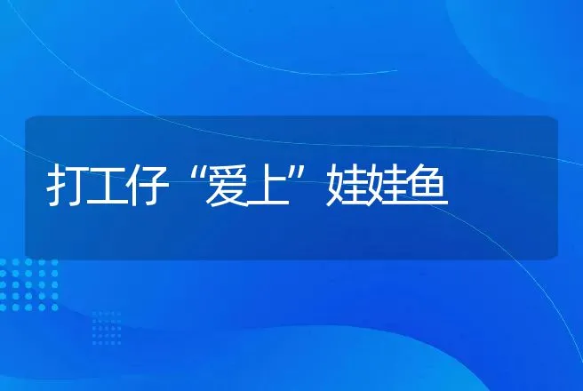 打工仔“爱上”娃娃鱼 | 水产知识