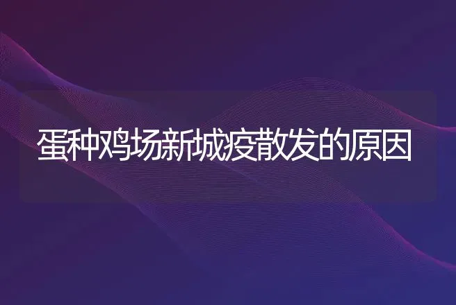 蛋种鸡场新城疫散发的原因 | 动物养殖