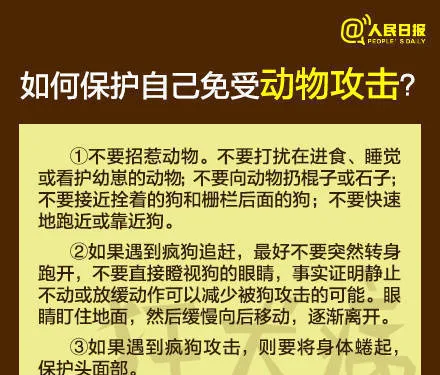 芜湖6岁男童被狗咬身亡获赔78万，母亲泣不成声：管好自家的狗 | 宠物新闻资讯