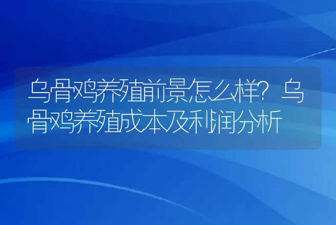 乌骨鸡养殖前景怎么样？乌骨鸡养殖成本及利润分析 | 养殖致富