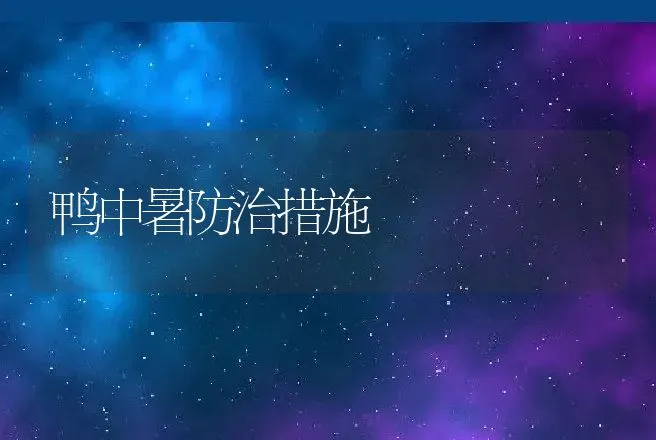 鸭中暑防治措施 | 动物养殖