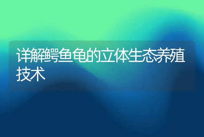 详解鳄鱼龟的立体生态养殖技术 | 动物养殖