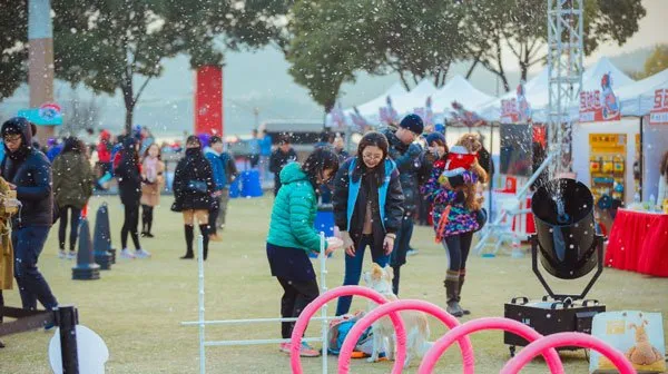 萌宠成节日活动主角，爱宠游冰雪漫跑节玩转圣诞! | 宠物新闻资讯