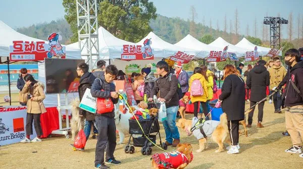 萌宠成节日活动主角，爱宠游冰雪漫跑节玩转圣诞! | 宠物新闻资讯