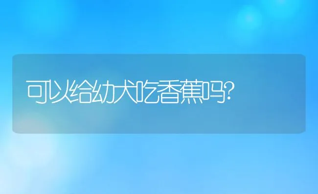 可以给幼犬吃香蕉吗? | 宠物趣闻