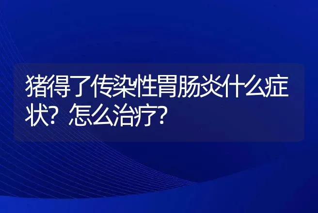 猪得了传染性胃肠炎什么症状？怎么治疗？ | 兽医知识大全