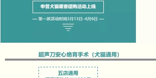 宠业社交新零售之社区团购：把握机遇，不出众就出局 | 宠物行业洞察