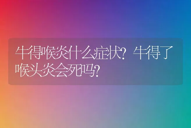 牛得喉炎什么症状？牛得了喉头炎会死吗？ | 兽医知识大全