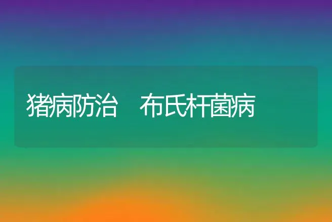 鱼鹅立体化生态养殖效益好 | 动物养殖