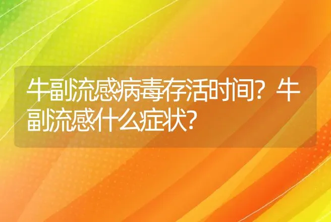 牛副流感病毒存活时间？牛副流感什么症状？ | 兽医知识大全