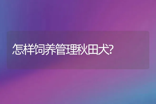 怎样饲养管理秋田犬? | 动物养殖