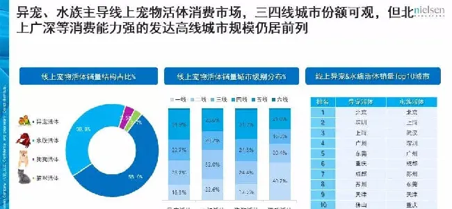 京东发布的这份报告 透露了宠物消费的哪些趋势？ | 宠物行业洞察