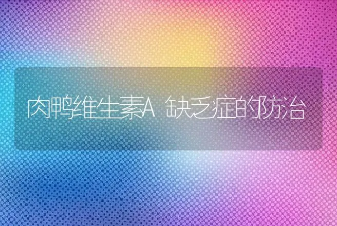 肉鸭维生素A缺乏症的防治 | 动物养殖