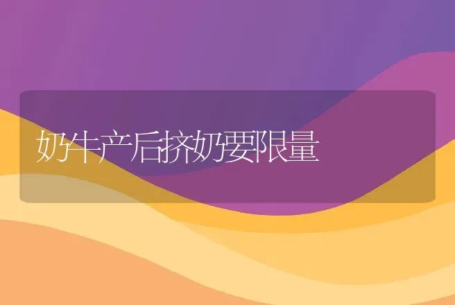 奶牛产后挤奶要限量 | 动物养殖