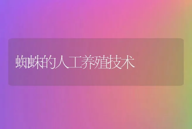 蜘蛛的人工养殖技术 | 特种养殖