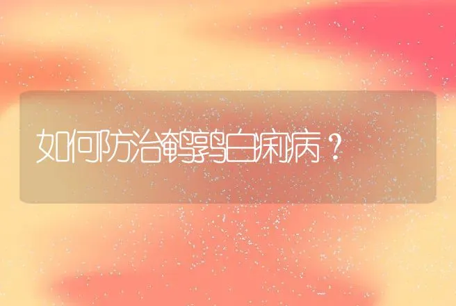 如何防治鹌鹑白痢病？ | 动物养殖