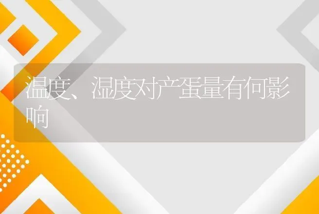 温度、湿度对产蛋量有何影响 | 动物养殖