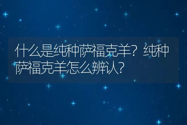 什么是纯种萨福克羊？纯种萨福克羊怎么辨认？ | 动物养殖